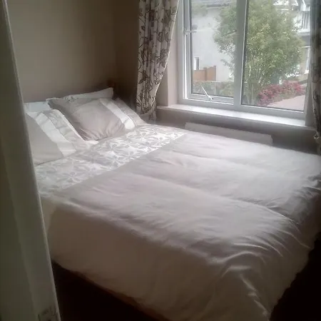 Guest house Cappagh House