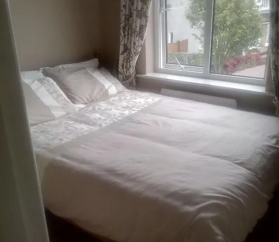 Guest house Cappagh House